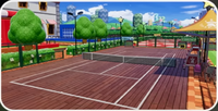 MTF Court Academy Wood.png