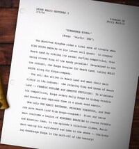 TAOSMB3 Kowabunga Koopa outline.jpg