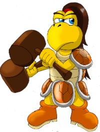 WoM Classes Koopa1.png