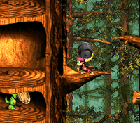 Barrel Shield Bust-Up Koin.png