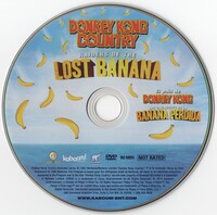 DKC ROTLB Disc alt.jpg
