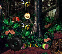 Jungle Jinx DKC2 Banana Coin.png