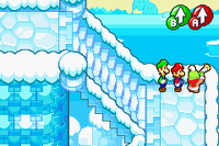 MLSS Joke's End NPC.png