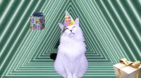 Shroom233 Birthday cat.jpg