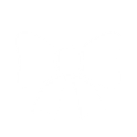 PPS Ensemble Sparkle Icon.png