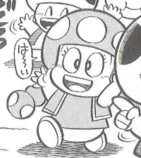 ToadetteSMK.png