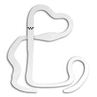 MK8DX N64 Choco Mountain Map.png