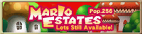 MKDD-MarioEstates.png