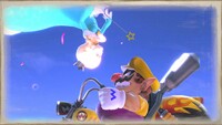ShroomSSBU-Creative-Infinite8.jpg