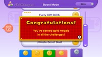 NSMBU All Challenges Complete.jpg