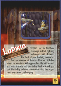 NSMBWiiTC-13-Back.png
