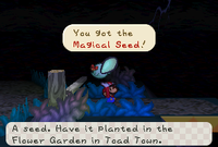 PM Magical Seed glitch.png