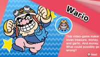 Wario GIT Introduction.jpg