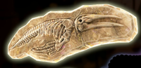 DKB Fossil Whale.png