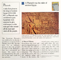 Pharaoh quiz card back.png