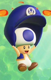 Smbwns2e-bluetoad-parachute.png
