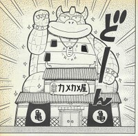Turtle Shop SMW9.jpg