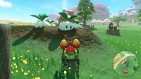 MKW-Turnips.jpg