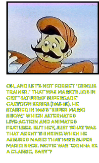 Mariohistory 6.png