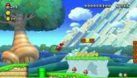 NM NSMBUD Banner.png