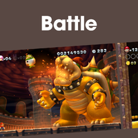 NM NSMBUD Battles PL JP.png