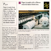 Paper quiz card back.png